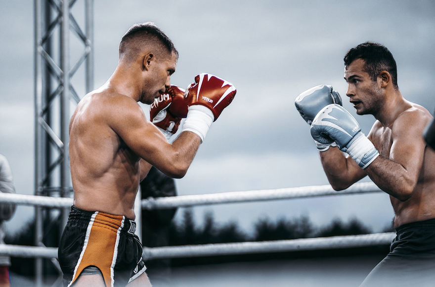 physical fitness and martial arts