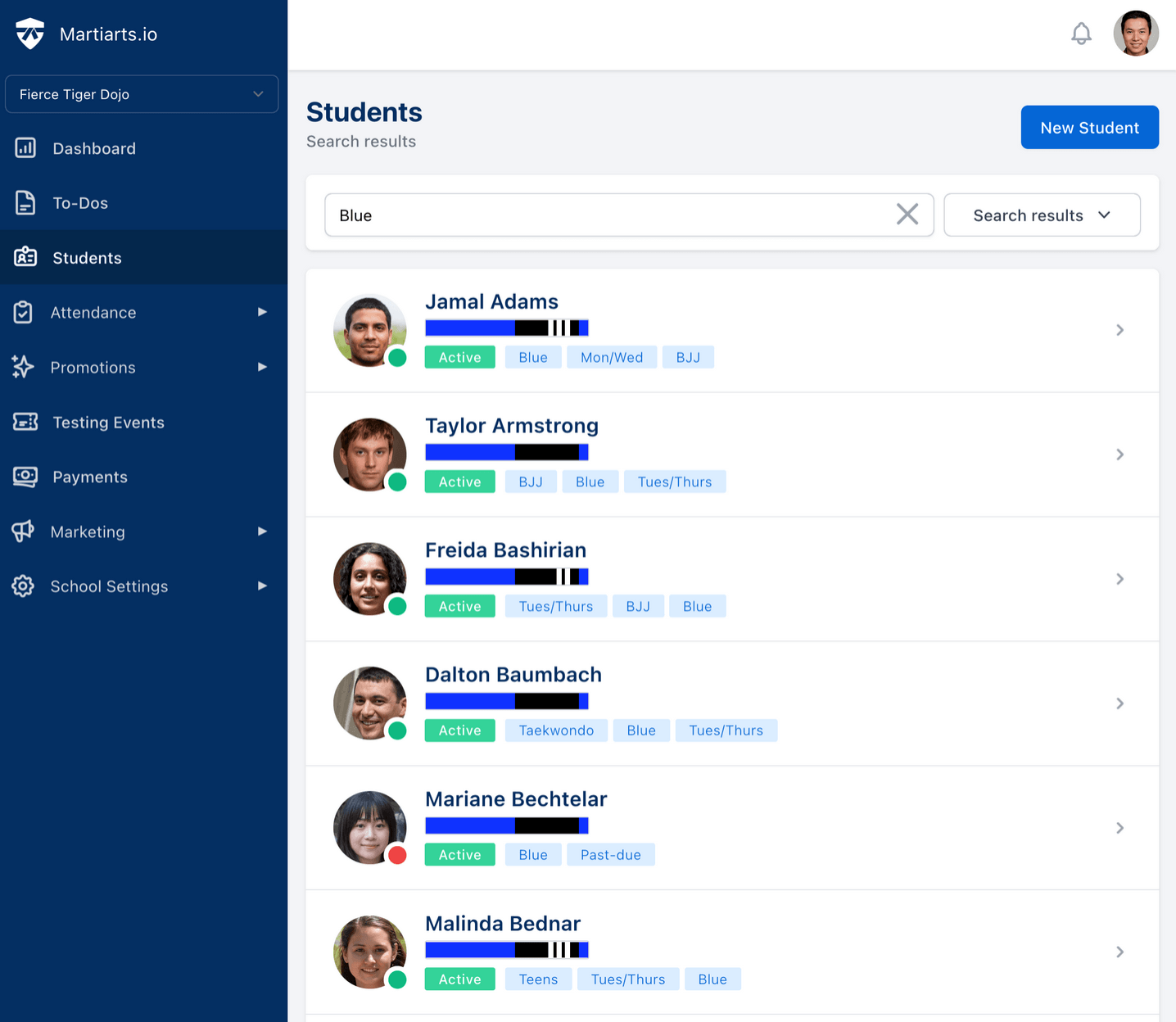 students profiles showing all students that have blue belts