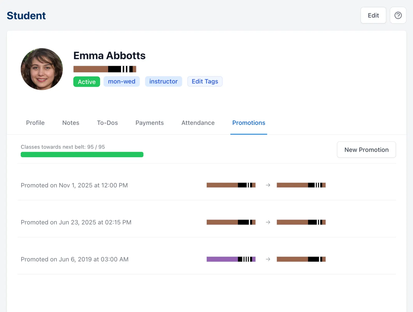 bjj software - belt and stripe progression tracking