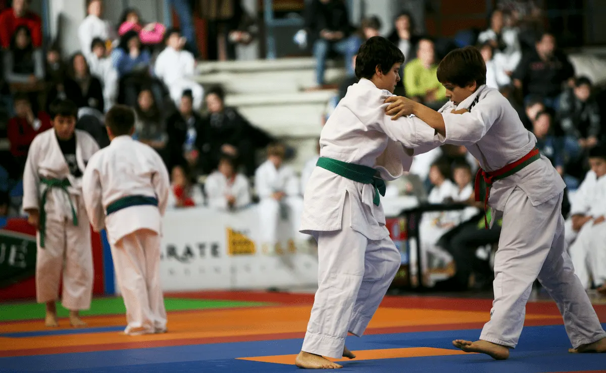 judo software - student management dashboard