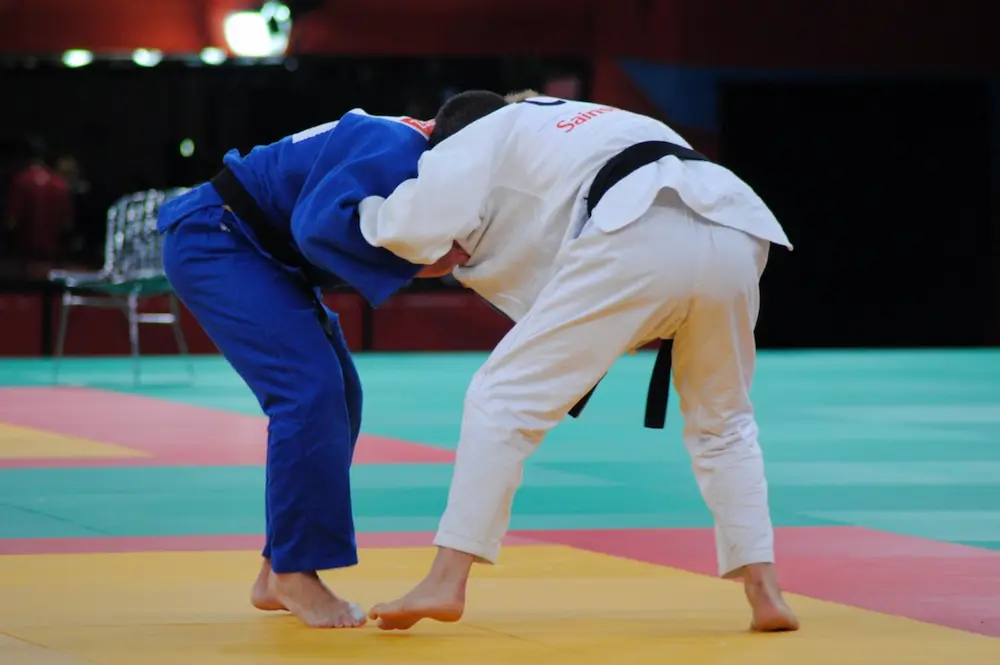 judo technique and curriculum tracking