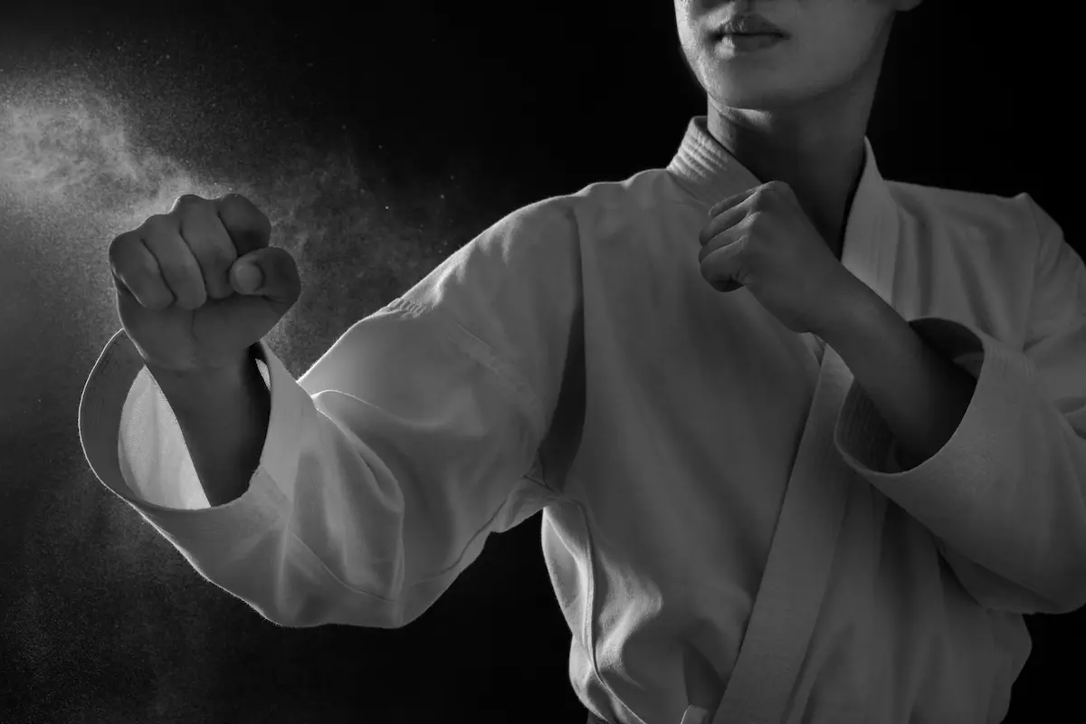 karate school software - student management dashboard