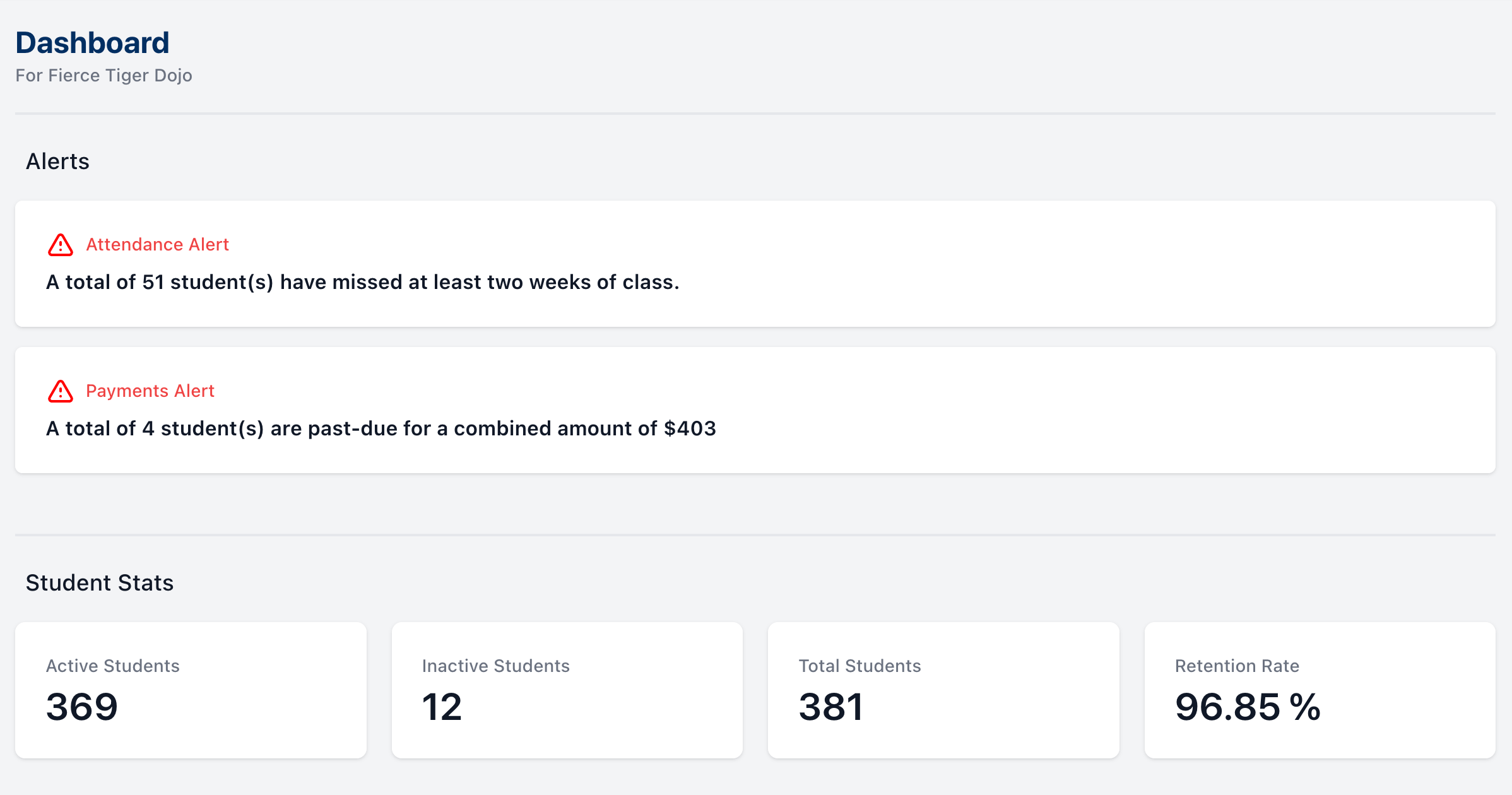 martial arts dashboard statistics