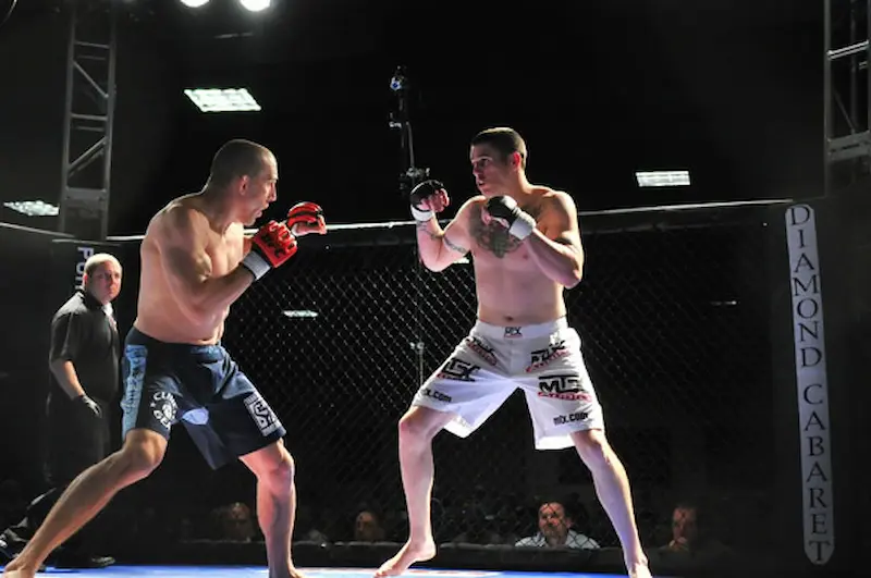 mma software - gym member management dashboard