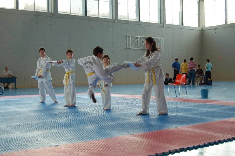 taekwondo software - poomsae curriculum tracking